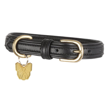 Digby & Fox Padded Leather Dog Collar