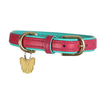 Digby & Fox Padded Leather Dog Collar