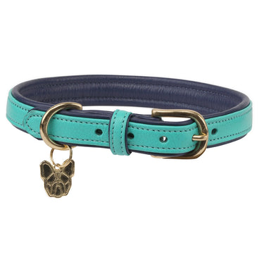 Buy Digby & Fox Aqua Padded Leather Dog Collar | Online for Equine