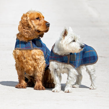 Digby & Fox Red / Yellow / Blue Tweed Tweed Dog Coat