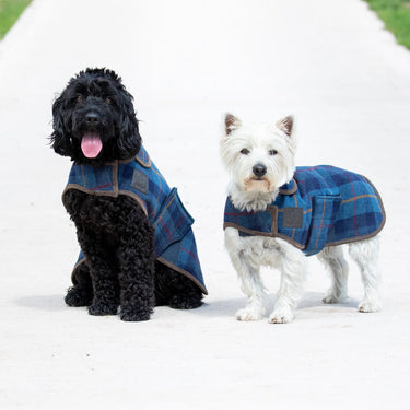 Digby & Fox Red / Yellow / Blue Tweed Tweed Dog Coat