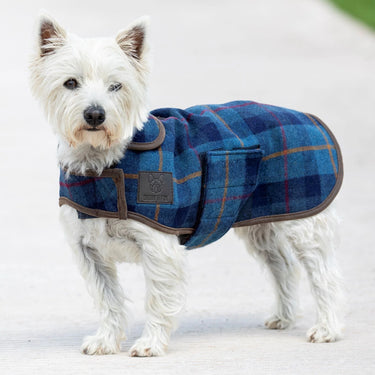 Digby & Fox Red / Yellow / Blue Tweed Tweed Dog Coat