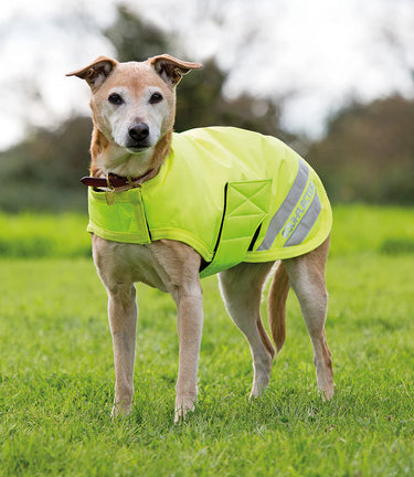 Shires Yellow EQUI-FLECTOR Dog Coat