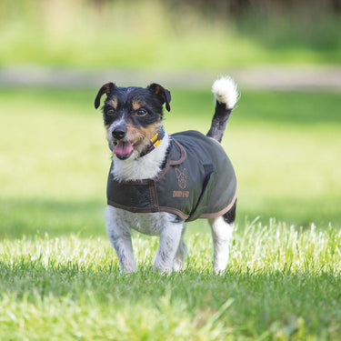 Digby & Fox Olive Wax Coat