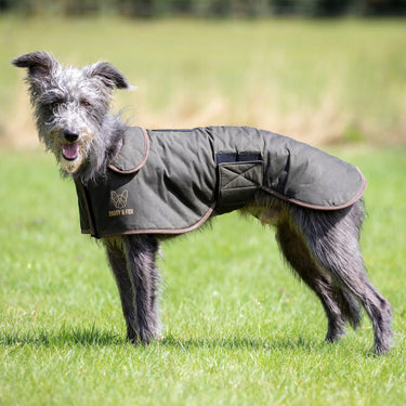 Digby & Fox Olive Wax Greyhound Coat