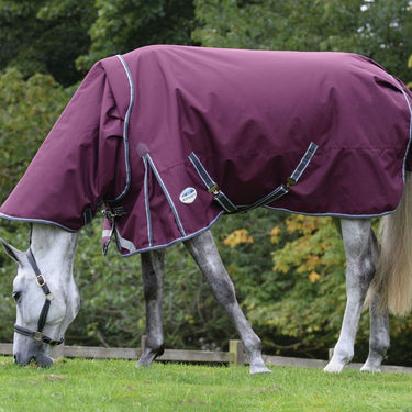 Buy the WeatherBeeta ComFiTec Plus Dynamic 220g Mediumweight Combo Neck Turnout Rug | Online for Equine