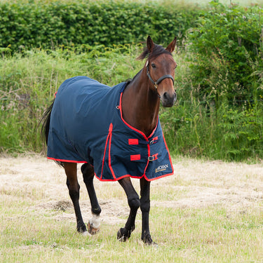 Gallop Trojan 200g Standard Neck Turnout Rug