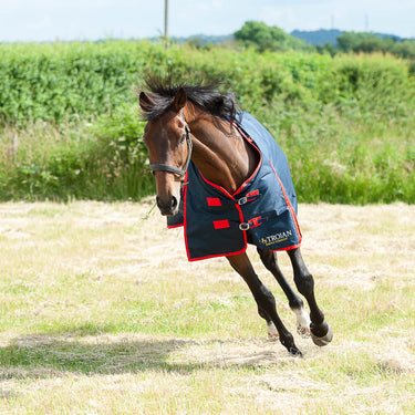 Gallop Trojan 200g Standard Neck Turnout Rug