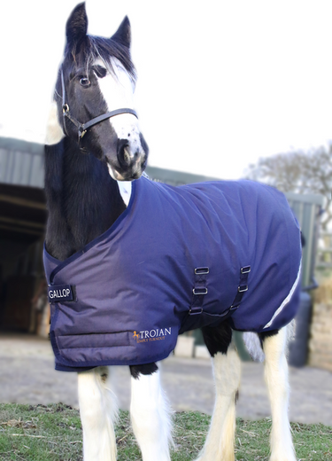 Gallop Trojan 200g Flexi-Foal Standard Neck Turnout Rug