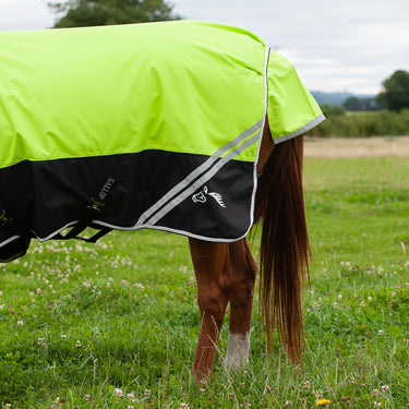 Gallop Hi-Vis 200g Combo Neck Turnout Rug