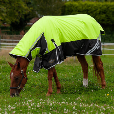 Gallop Hi-Vis 200g Combo Neck Turnout Rug