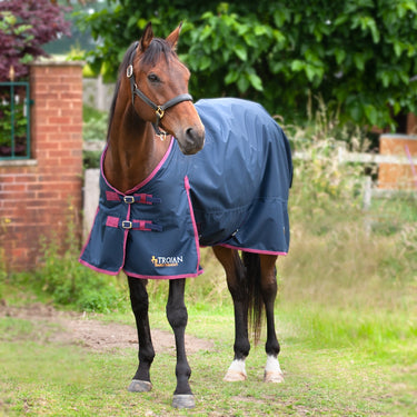 Gallop Trojan 50g Standard Neck Turnout Rug