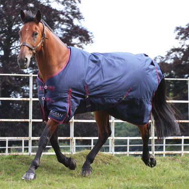 Gallop Trojan 50g Standard Neck Turnout Rug