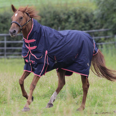 Gallop Trojan 50g Turnout Rug Combo