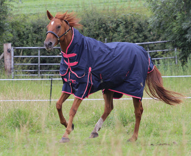 Gallop Ponie 50g Combo Neck Turnout Rug