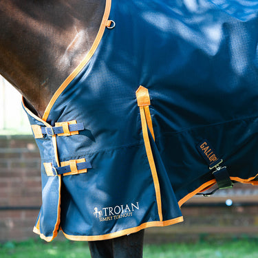 Gallop Trojan 100g Standard Neck Turnout Rug