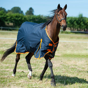 Gallop Trojan 100g Standard Neck Turnout Rug