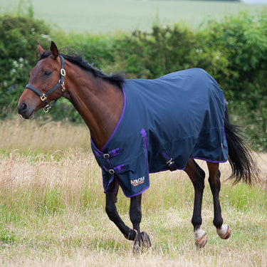 Gallop Trojan Lightweight Standard Neck Turnout Rug