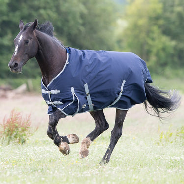 Buy Gallop Trojan 300g Heavyweight Standard Neck Turnout Rug| Online for Equine