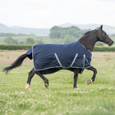 Gallop Trojan 300g Heavyweight Standard Neck Turnout Rug