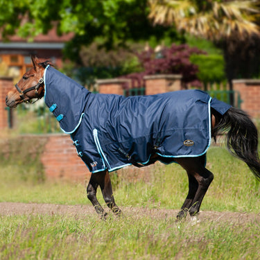 Gallop Trojan 350g Combo Turnout Rug