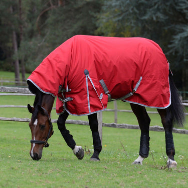 Buy Weatherbeetea Red ComFiTec Classic 220g Medium Combo Neck | Online for Equine