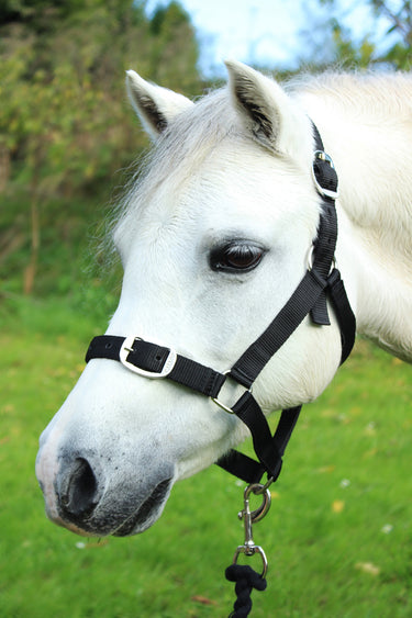 Gallop Headcollar & Leadrope Set