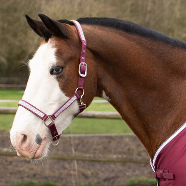 Gallop Diamante Padded Headcollar