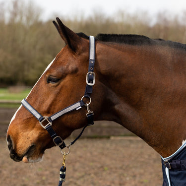 Gallop Diamante Padded Headcollar