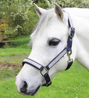 Gallop Diamante Padded Headcollar with Free Matching Leadrope