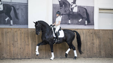 LeMieux White Loire Classic Dressage Square