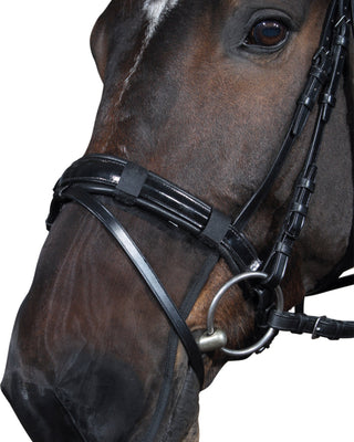 Buy Horse Guard Nose Filter Net | Online for Equine