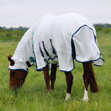 Buy Shires Highlander Plus Sweet-Itch Combo Rug| Online for Equine