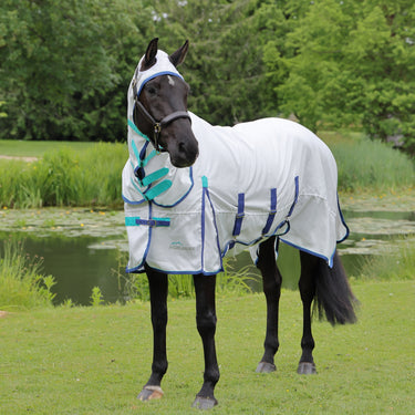 Buy the Shires Highlander Plus Sweet-Itch Combo Rug | Online for Equine