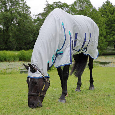 Buy the Shires Highlander Plus Sweet-Itch Combo Rug | Online for Equine