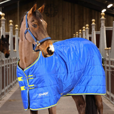 Buy the Shires Tempest 100g Standard Neck Stable Rug | Online for Equine