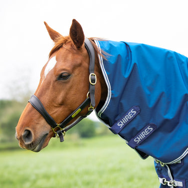 Shires Highlander Original 200g Blue Neck Cover