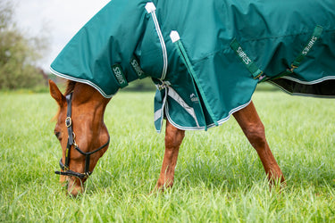 Buy the Shires Highlander Original Green 300g Combo Turnout Rug | Online for Equine