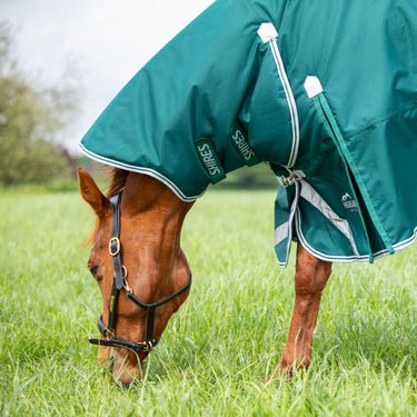 Buy the Shires Highlander Original Green 300g Combo Turnout Rug | Online for Equine