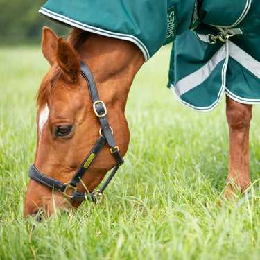 Buy the Shires Highlander Original Green 300g Combo Turnout Rug | Online for Equine