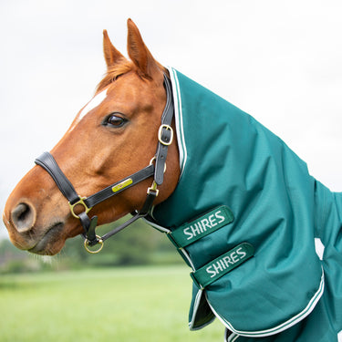 Buy the Shires Highlander Original Green 300g Combo Turnout Rug | Online for Equine