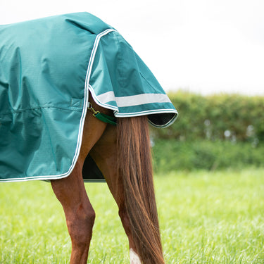 Buy the Shires Highlander Original Green 300g Combo Turnout Rug | Online for Equine