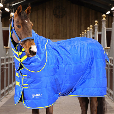 Buy the Shires Tempest 100g Stable Rug & Neck Set | Online for Equine