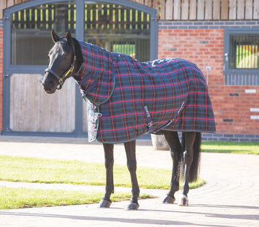 Buy the Shires Tempest Plus Green Check 100g Combo Stable Rug | Online for Equine