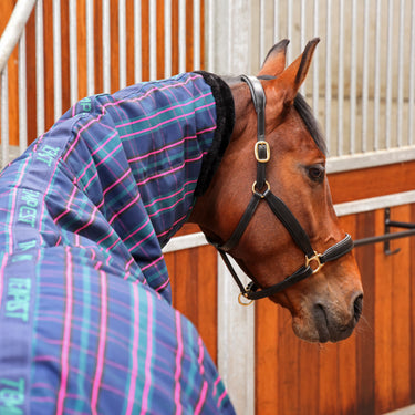 Buy the Shires Tempest Plus Navy Tartan 100g Combo Stable Rug | Online for Equine