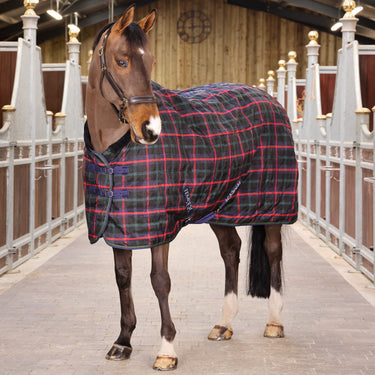 Buy the Shires Tempest Plus Green Check 100g Stable Rug | Online for Equine