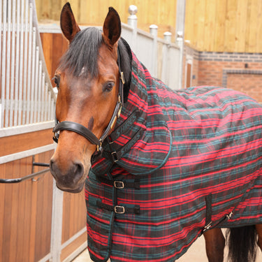 Buy the Shires Tempest Plus Red Tartan 200g Combo Stable Rug | Online for Equine