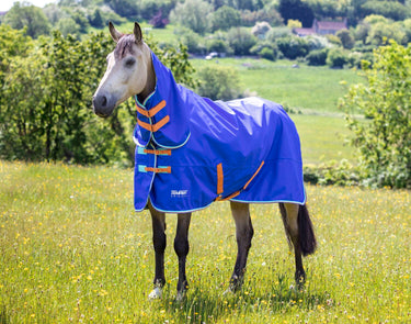 Buy Shires Tempest Original 50g Royal Combo Turnout Rug| Online for Equine