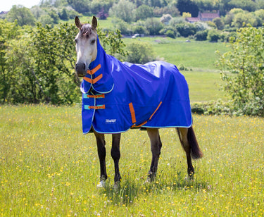 Buy the Shires Tempest Original 50g Royal Combo Turnout Rug | Online for Equine