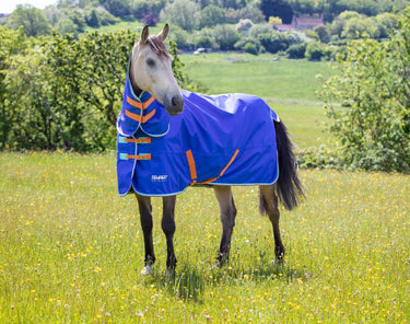 Buy Shires Tempest Original 50g Royal Combo Turnout Rug| Online for Equine